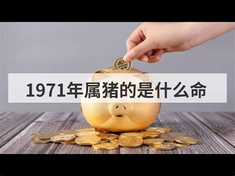 金豬年|金豬年:唐高祖武德四年（公元621年），為整治混亂的。